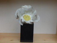 /album/fleurs-vases/fleur-sur-pied-3-jpg/